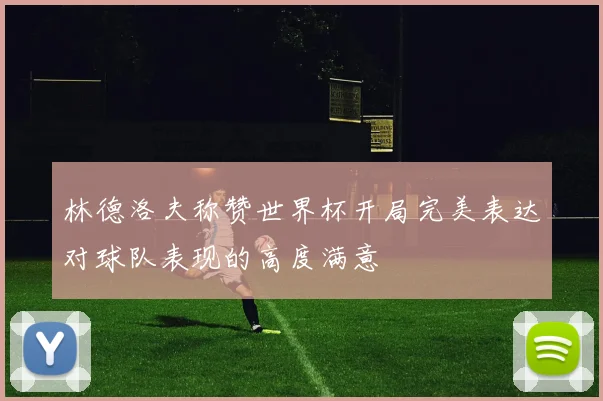 林德洛夫称赞世界杯开局完美表达对球队表现的高度满意