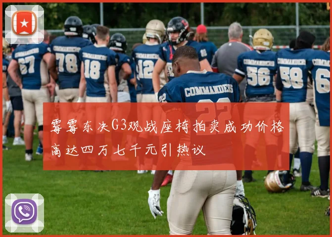 霉霉东决G3观战座椅拍卖成功价格高达四万七千元引热议